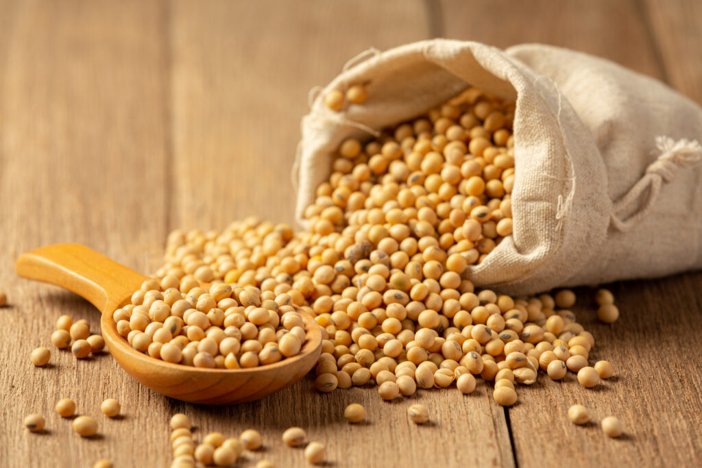 Skincare untuk menghilangkan bopeng dengan soybean