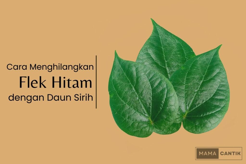 Cara menghilangkan flek hitam dengan daun sirih